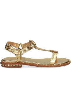 ASH Sandalo Patsy Bis04-Gold