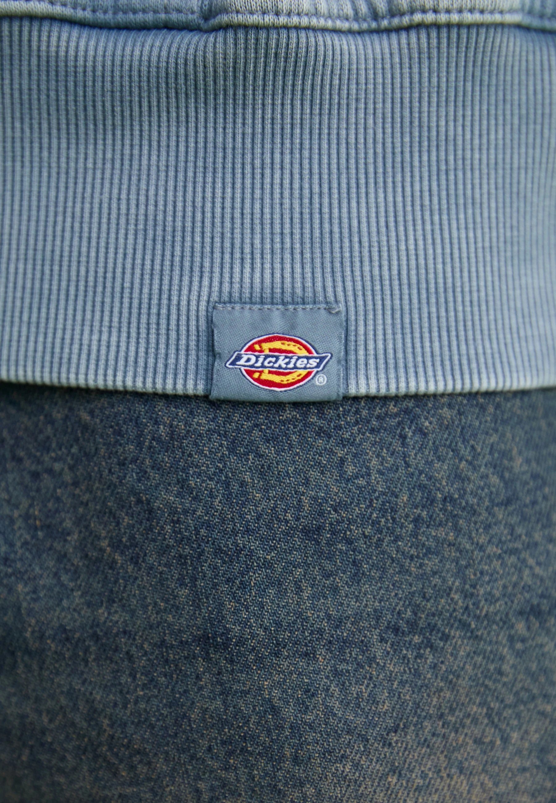 DICKIES Felpa Cappuccio Uomo Plentywood-Stormy Weather