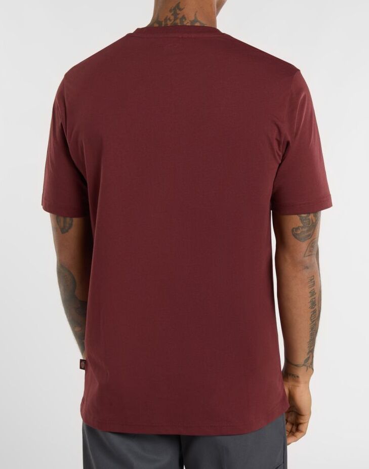 DICKIES T-Shirt Uomo MAPLETON-Andorra