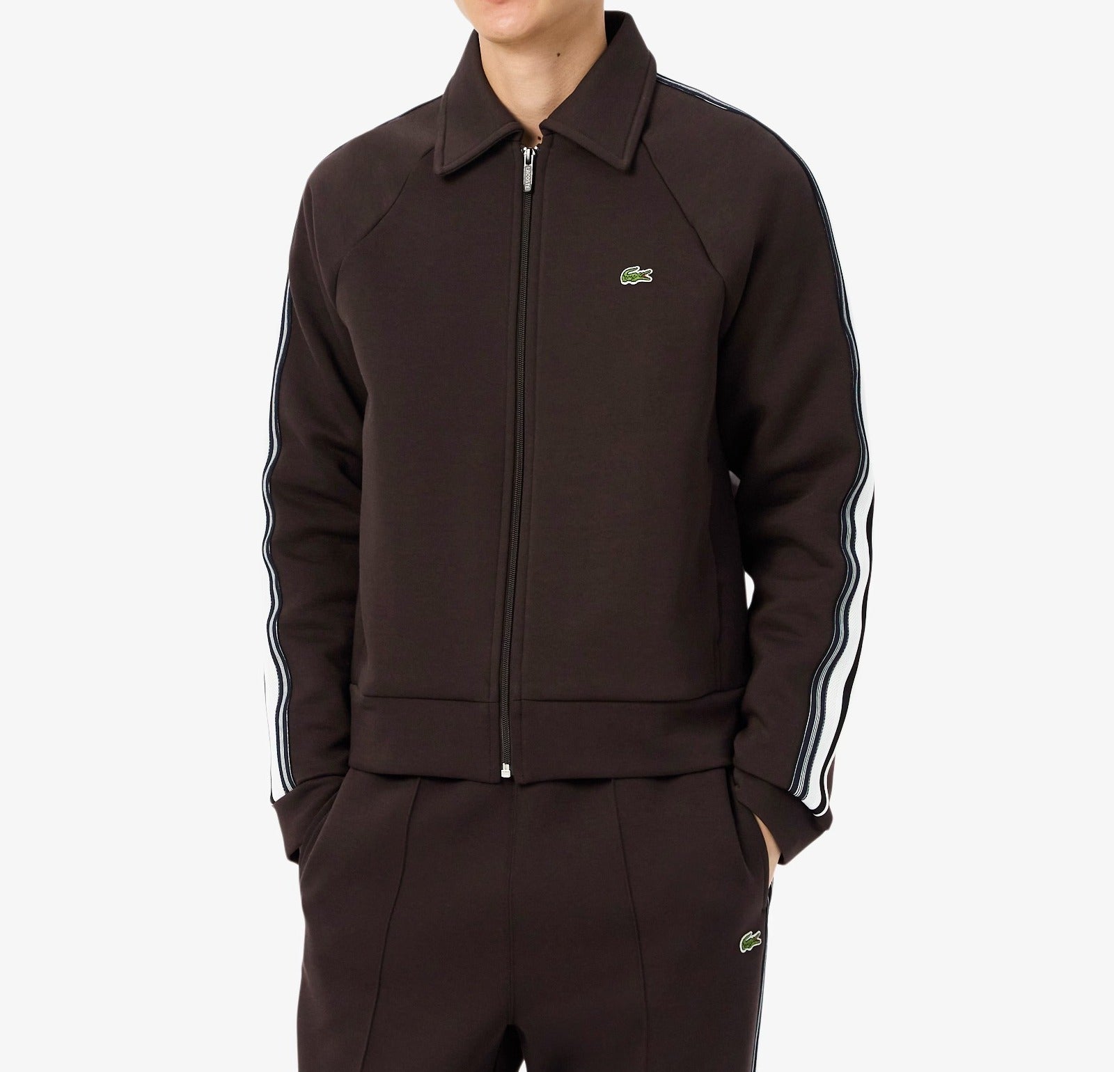LACOSTE Felpa Uomo Misto Cotone Zip Bande-Marrone