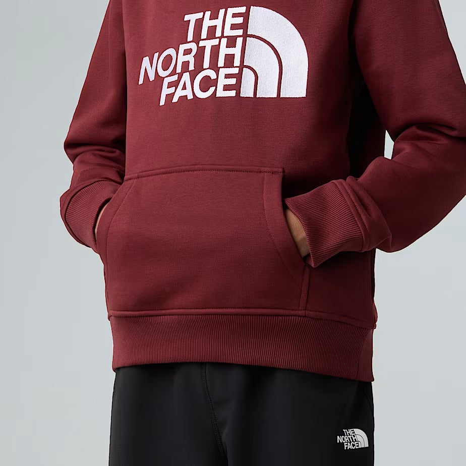 THE NORTH FACE Felpa Ragazzi DREW PEAK-Sumac