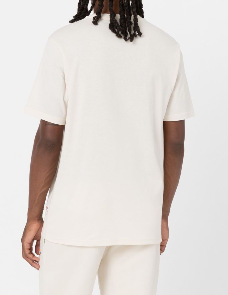 DICKIES T-Shirt Uomo MAPLETON-Whitecap Gray