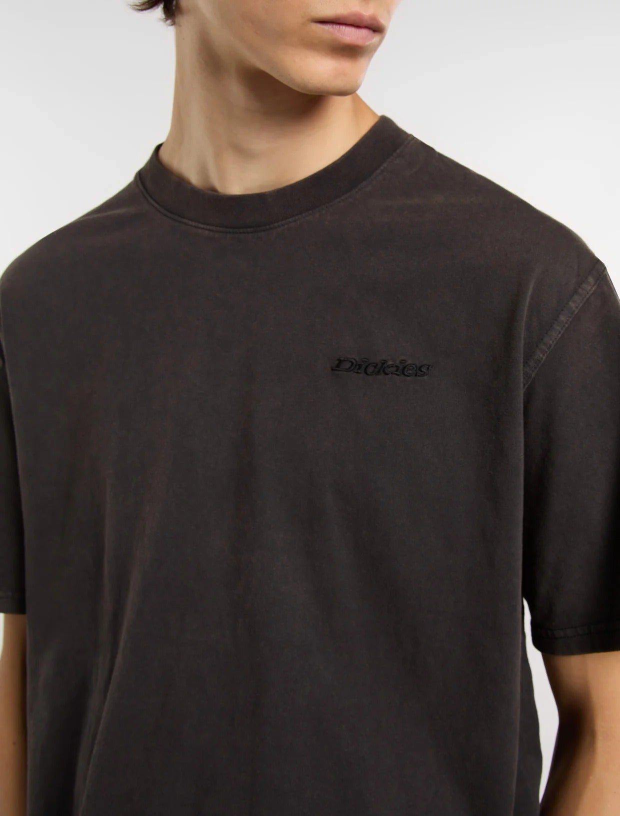 DICKIES T-Shirt Uomo PLENTYWOOD-Black