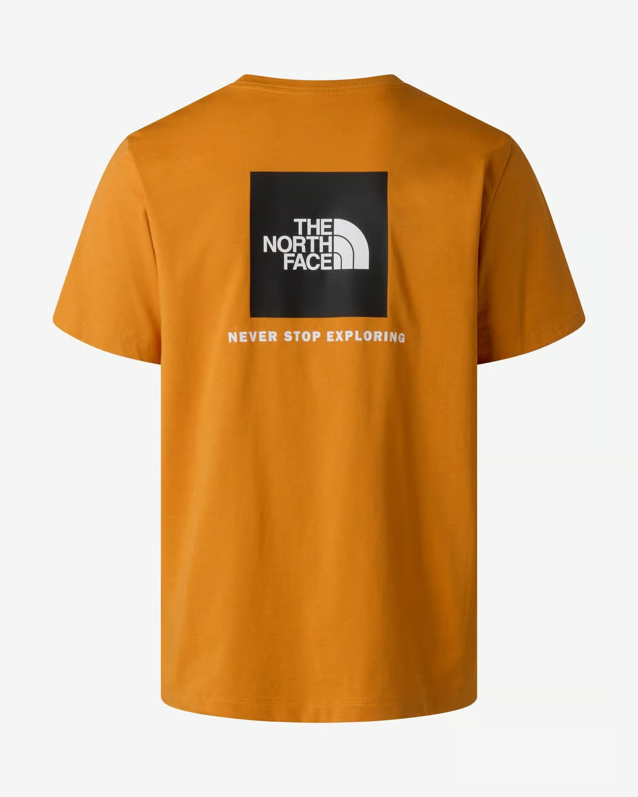 THE NORTH FACE T-Shirt Uomo EVOLUTION NSE BOX Regular-Orange