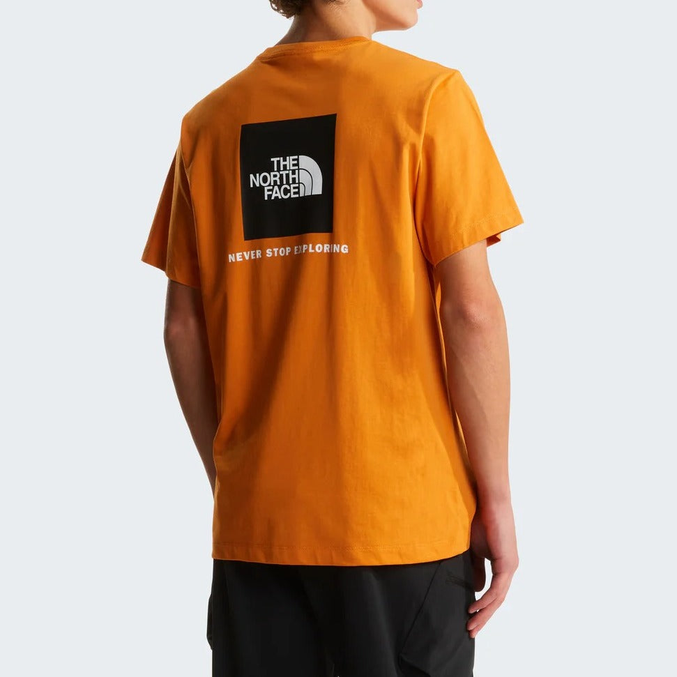 THE NORTH FACE T-Shirt Uomo EVOLUTION NSE BOX Regular-Orange