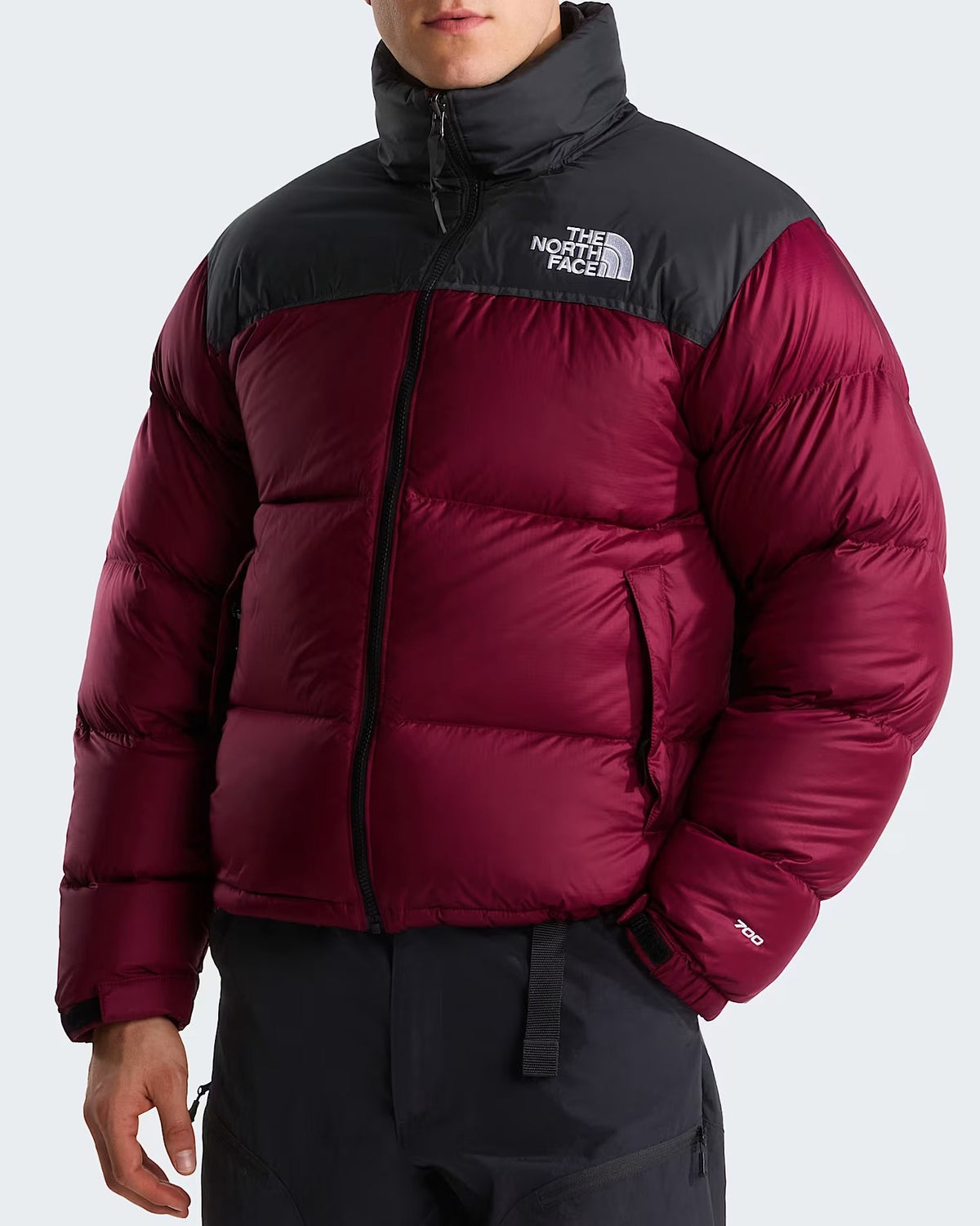 THE NORTH FACE Gacca Uomo 1996 RETRO NUPTSE-Burgundy