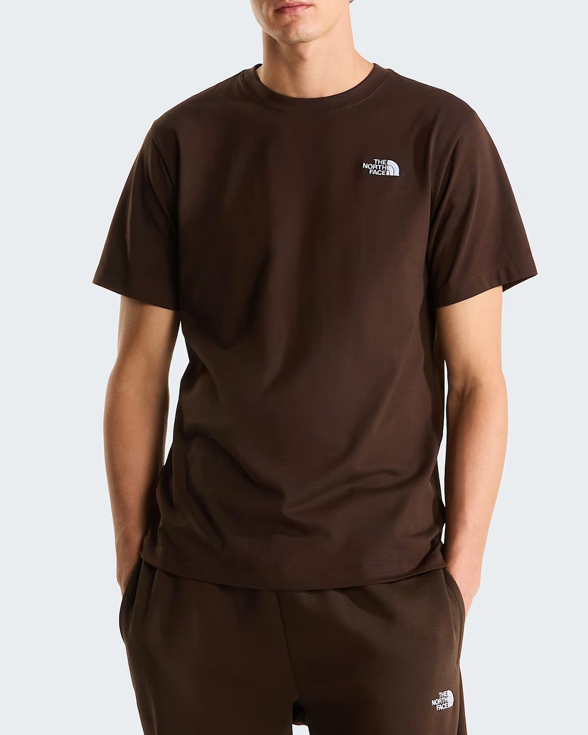 THE NORTH FACE T-Shirt Uomo EVOLUTION SIMPLE DOME-Dark Chestnut