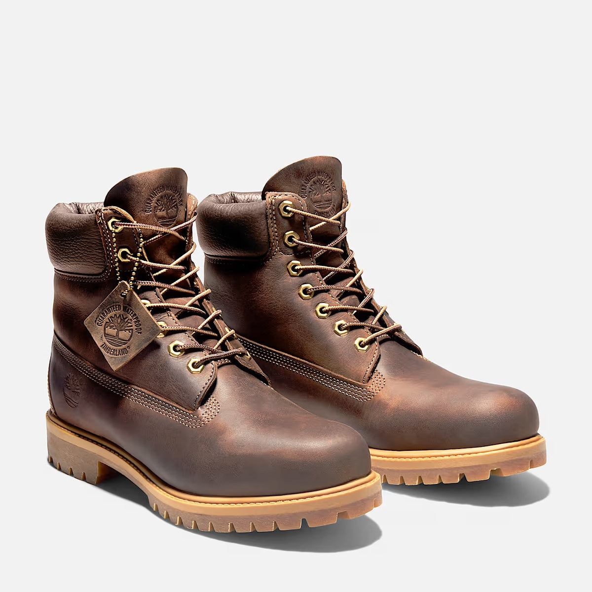 TIMBERLAND Scarponcino Uomo PREMIUM 6 INCH LACE UP WATERPROOF-Brown