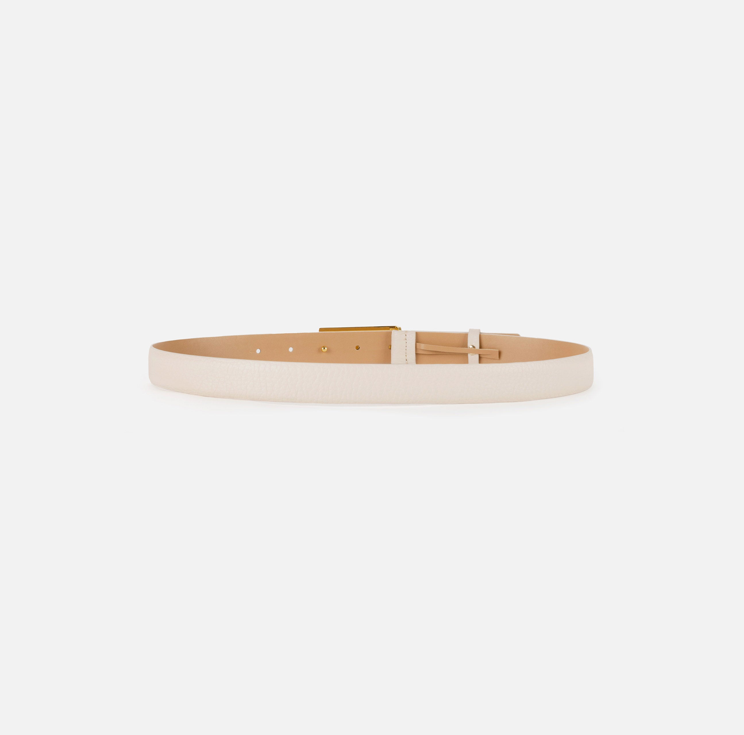 ELISABETTA FRANCHI Cintura Placca Logo-Burro