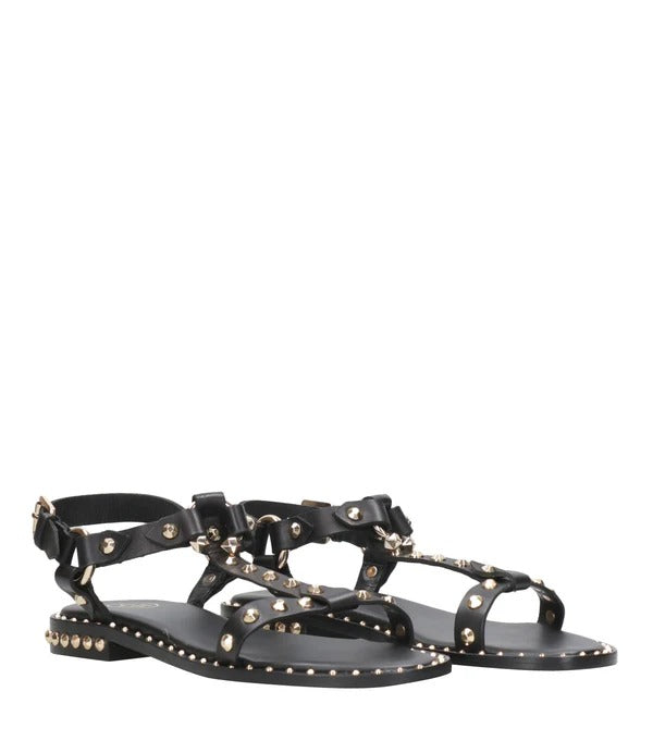 ASH Sandalo Patsy01-Black
