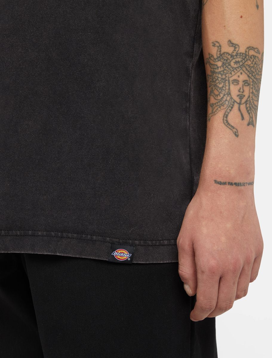 DICKIES T-Shirt Uomo Plentywood-Black