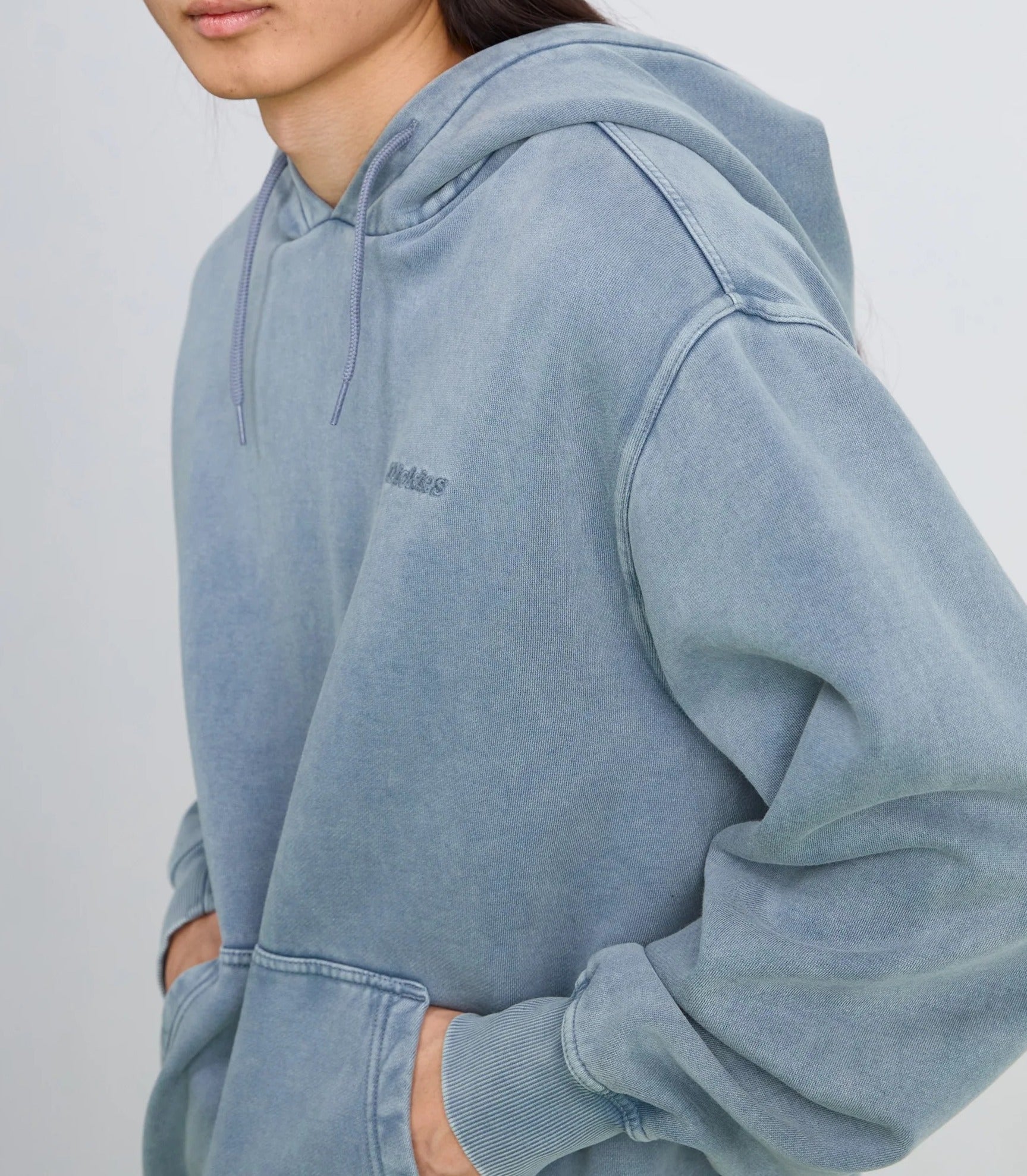 DICKIES Felpa Cappuccio Uomo Plentywood-Stormy Weather
