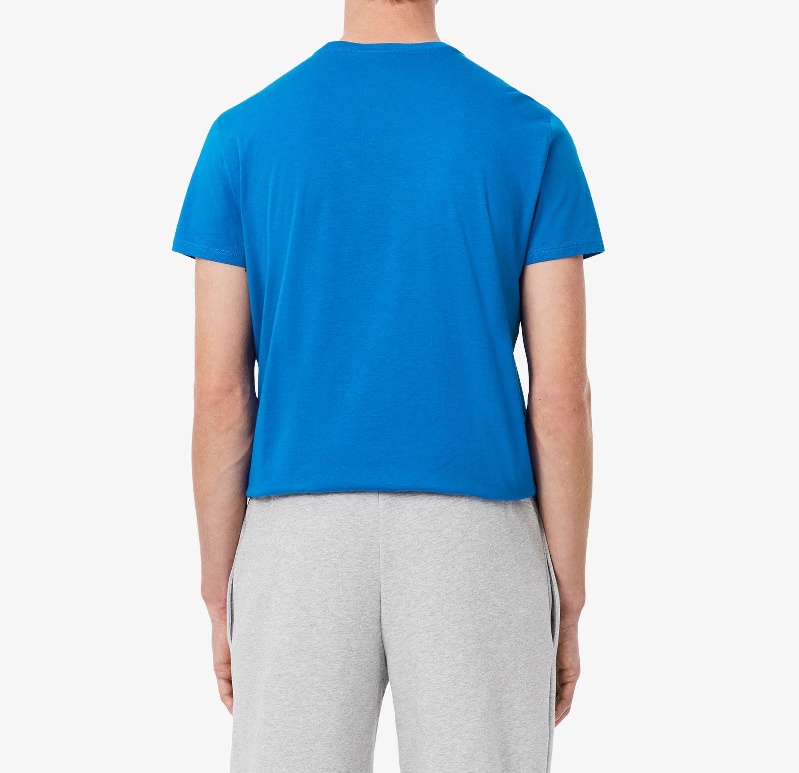 LACOSTE T-Shirt Uomo Cotone Pima-Blu Azzurro