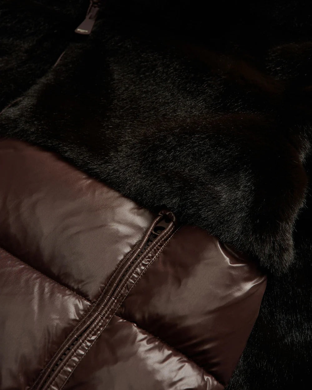 BLAUER Giubbotto Donna Fanevil-Marrone