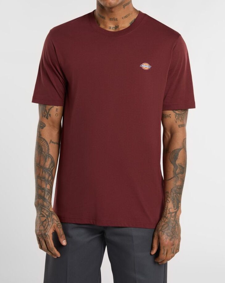 DICKIES T-Shirt Uomo MAPLETON-Andorra