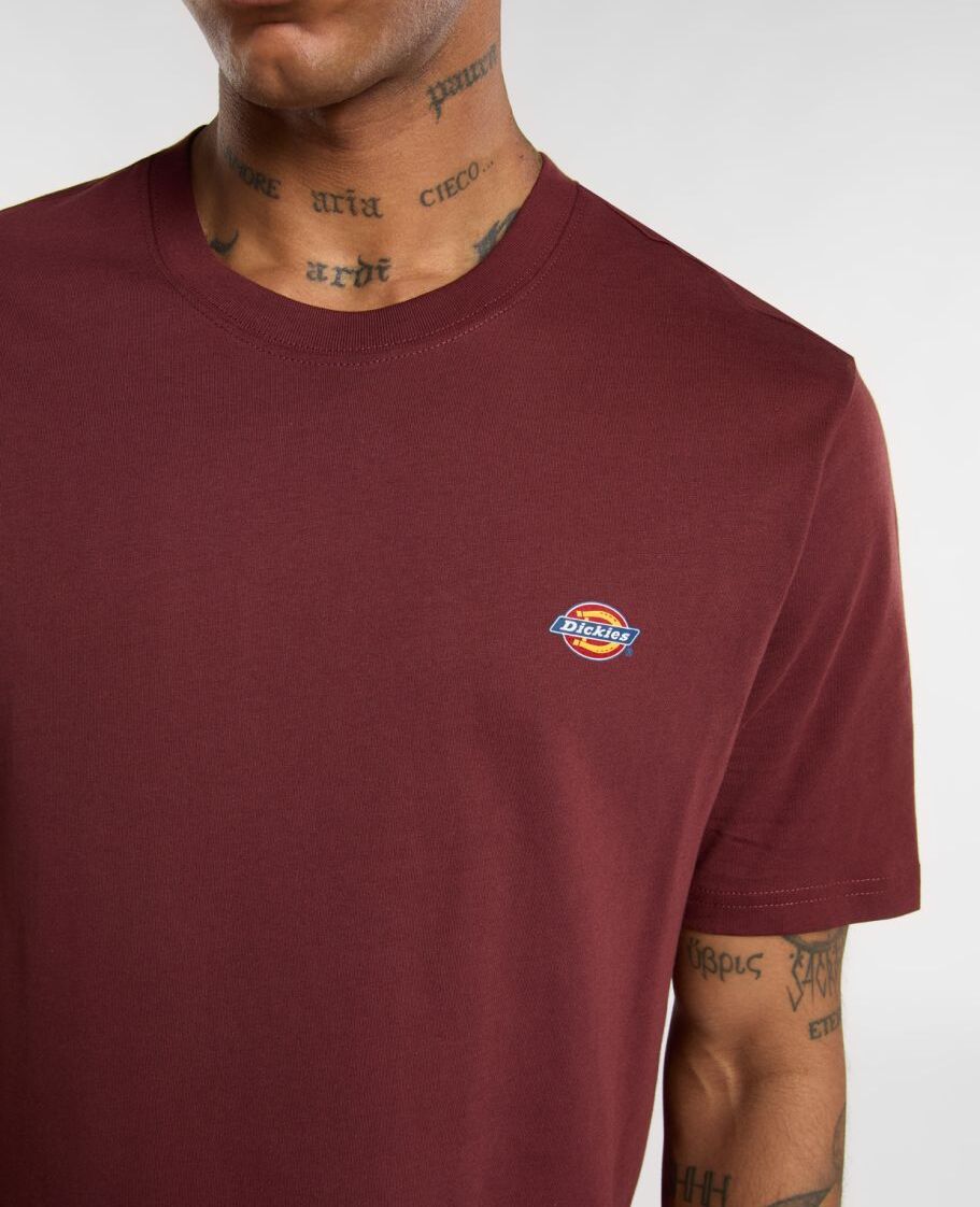 DICKIES T-Shirt Uomo MAPLETON-Andorra