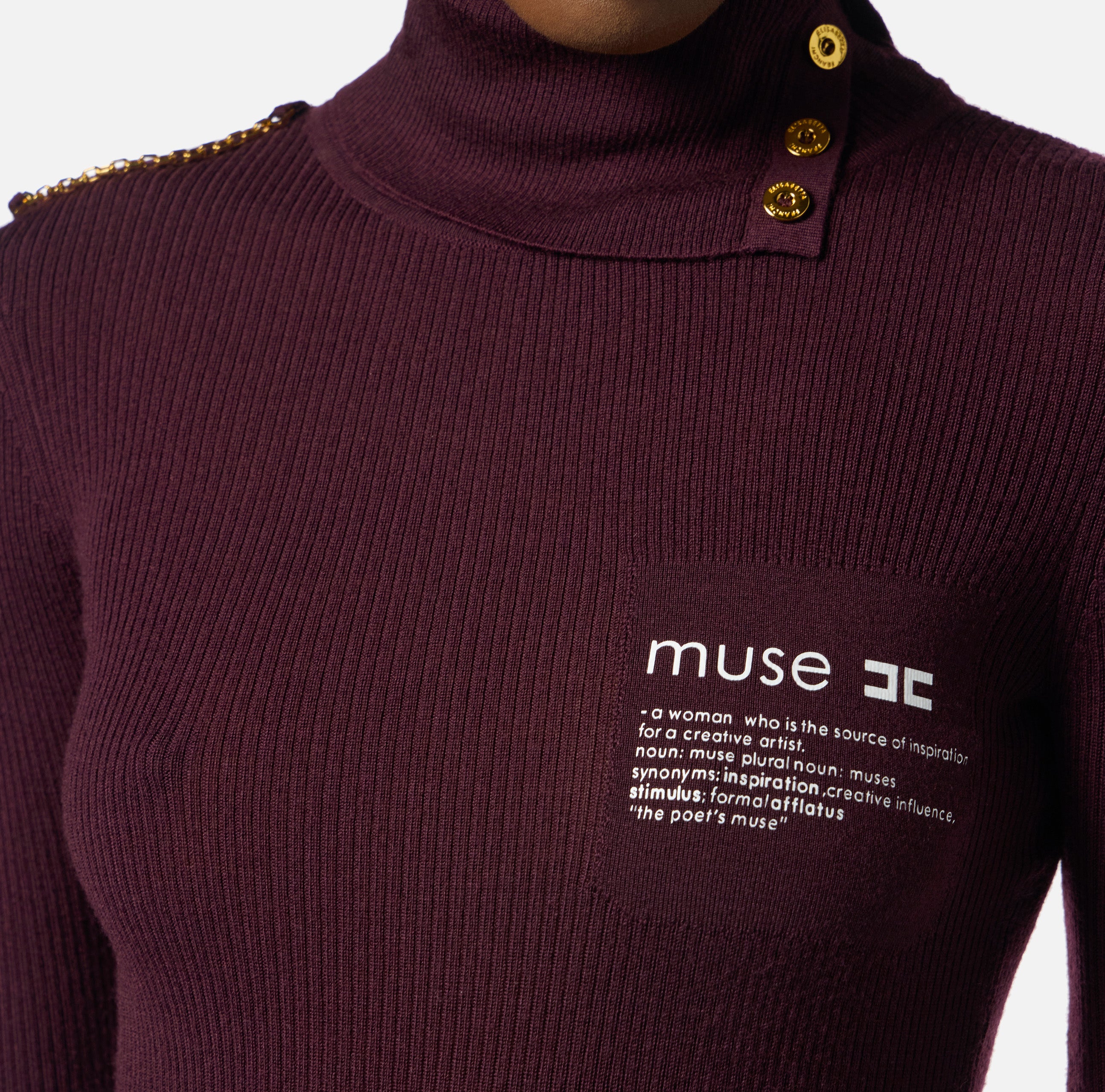 ELISABETTA FRANCHI Maglia Dolcevita Logo Lettering Muse-Merlot