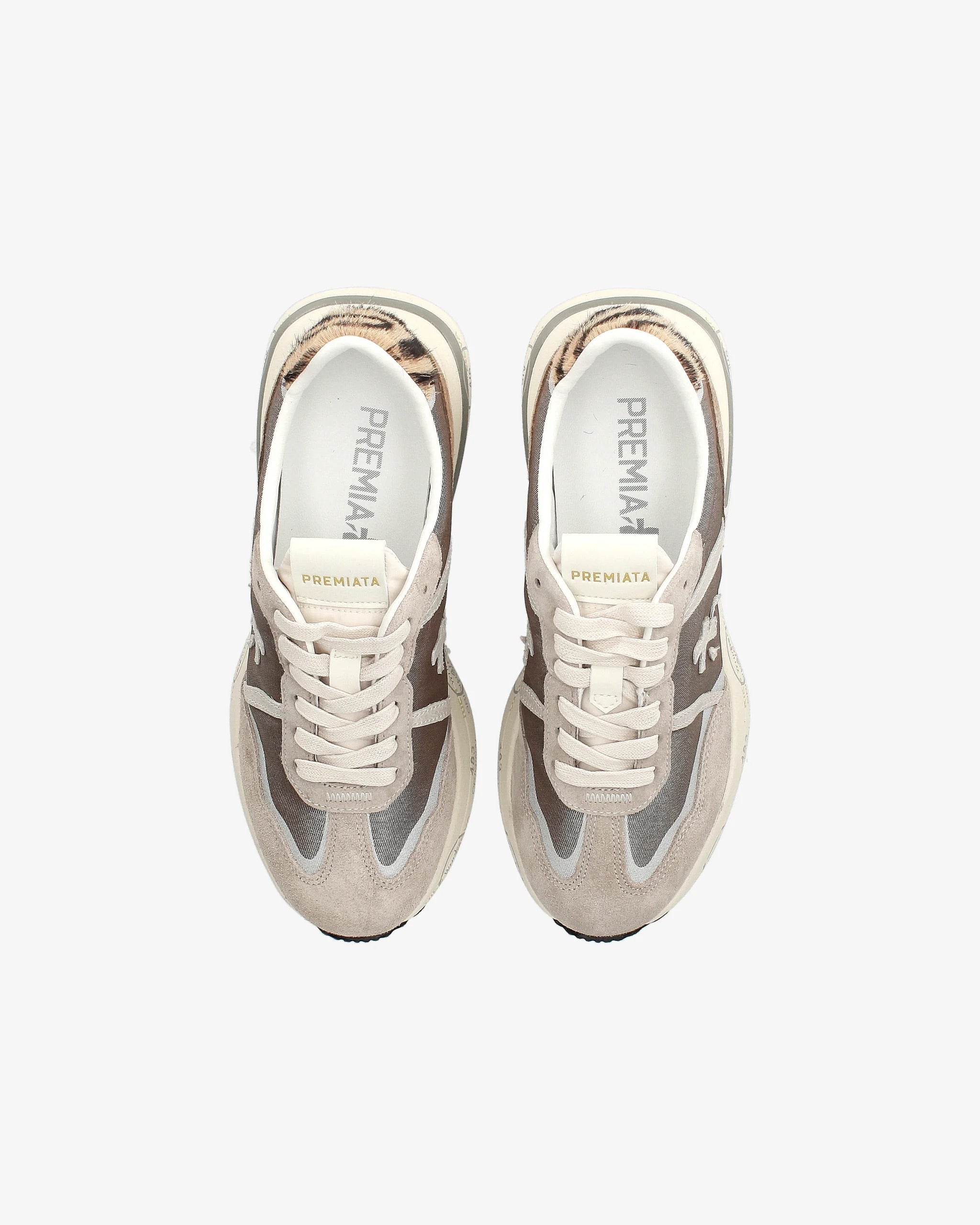 PREMIATA Sneaker Donna Cassie 7675-Tortora Marrone