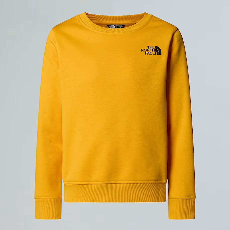 THE NORTH FACE Felpa Ragazzi Nse Box-Summit Gold