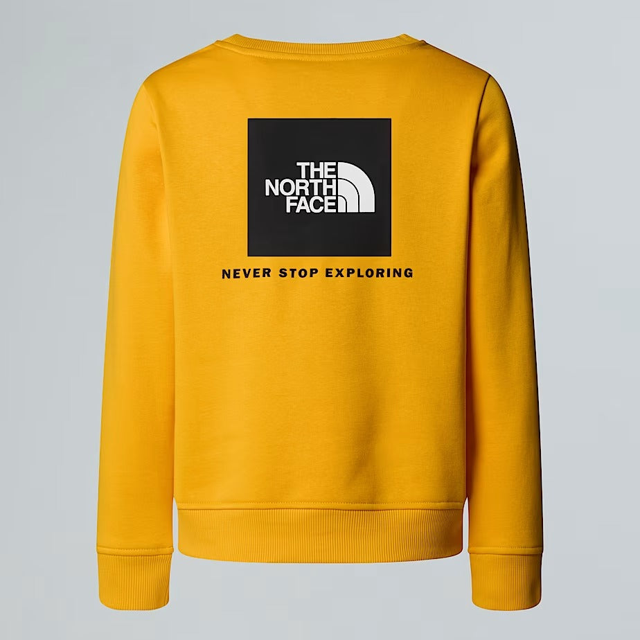 THE NORTH FACE Felpa Ragazzi Nse Box-Summit Gold