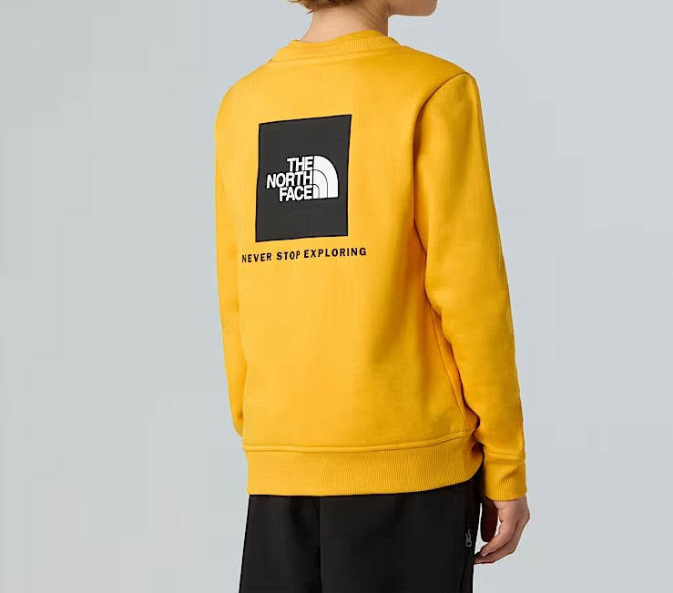THE NORTH FACE Felpa Ragazzi Nse Box-Summit Gold