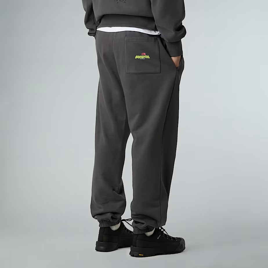 THE NORTH FACE Jogger Unisex EXPEDITION CELEBRATION-Anthracite Grey