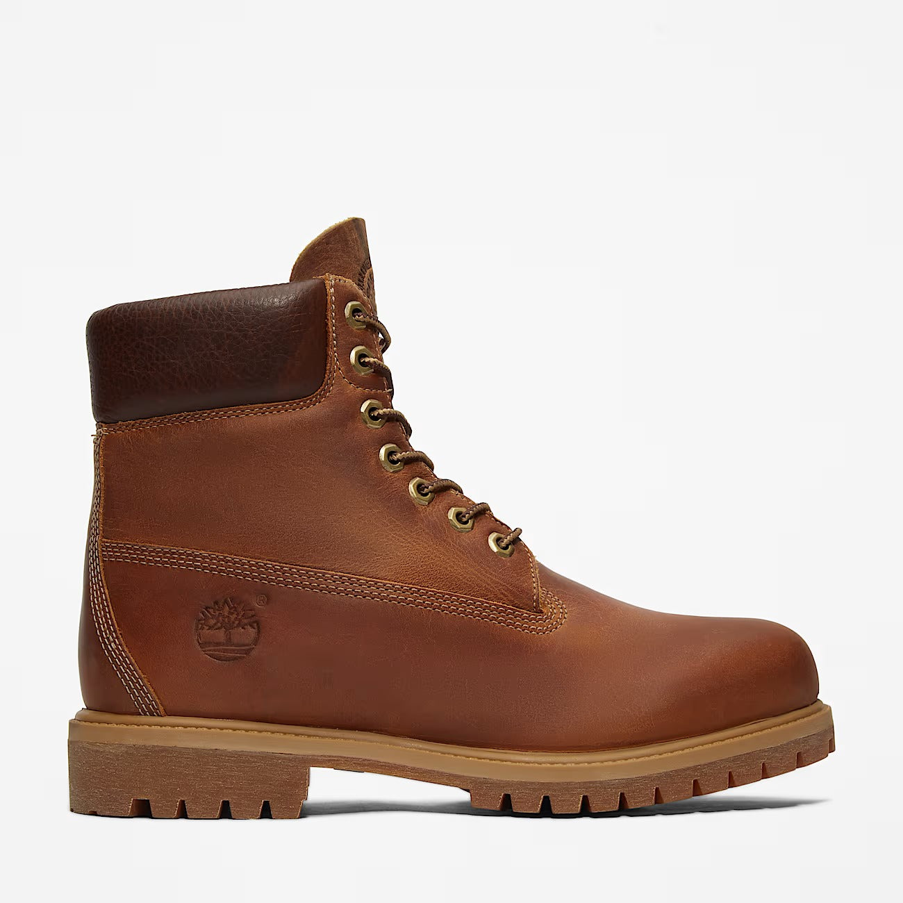 TIMBERLAND Scarponcino Uomo Premium 6 INCH WATERPROOF-Brown