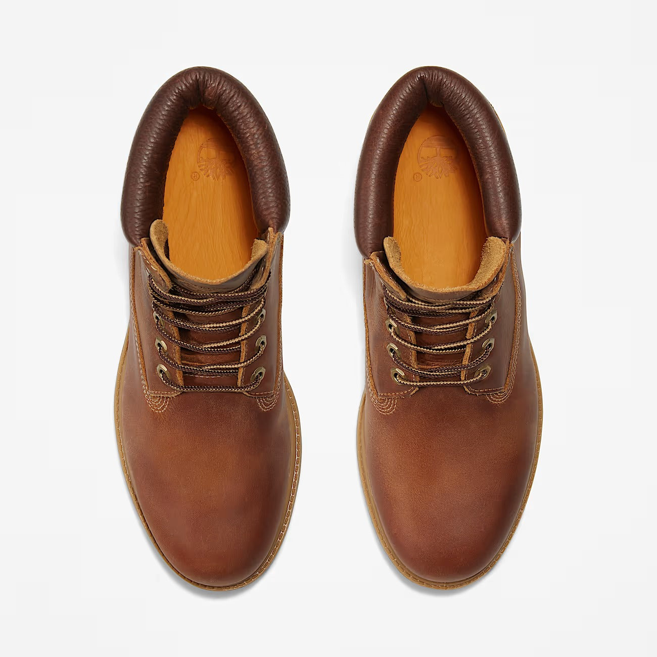 TIMBERLAND Scarponcino Uomo Premium 6 INCH WATERPROOF-Brown