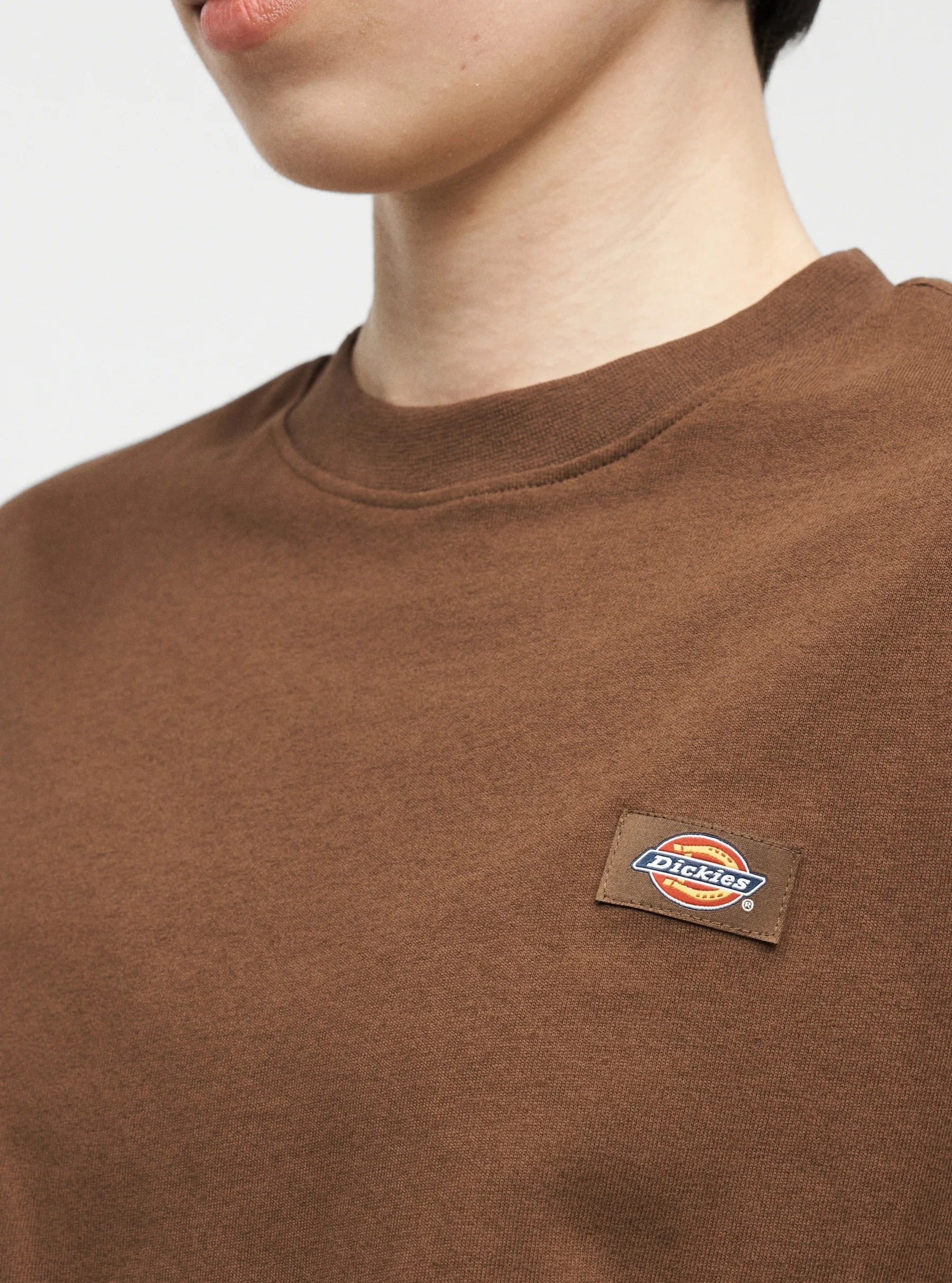 DICKIES T-Shirt Donna OAKPORT-Timber Brown