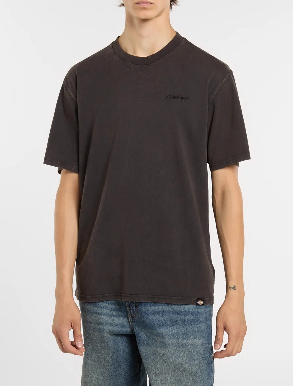 DICKIES T-Shirt Uomo PLENTYWOOD-Black