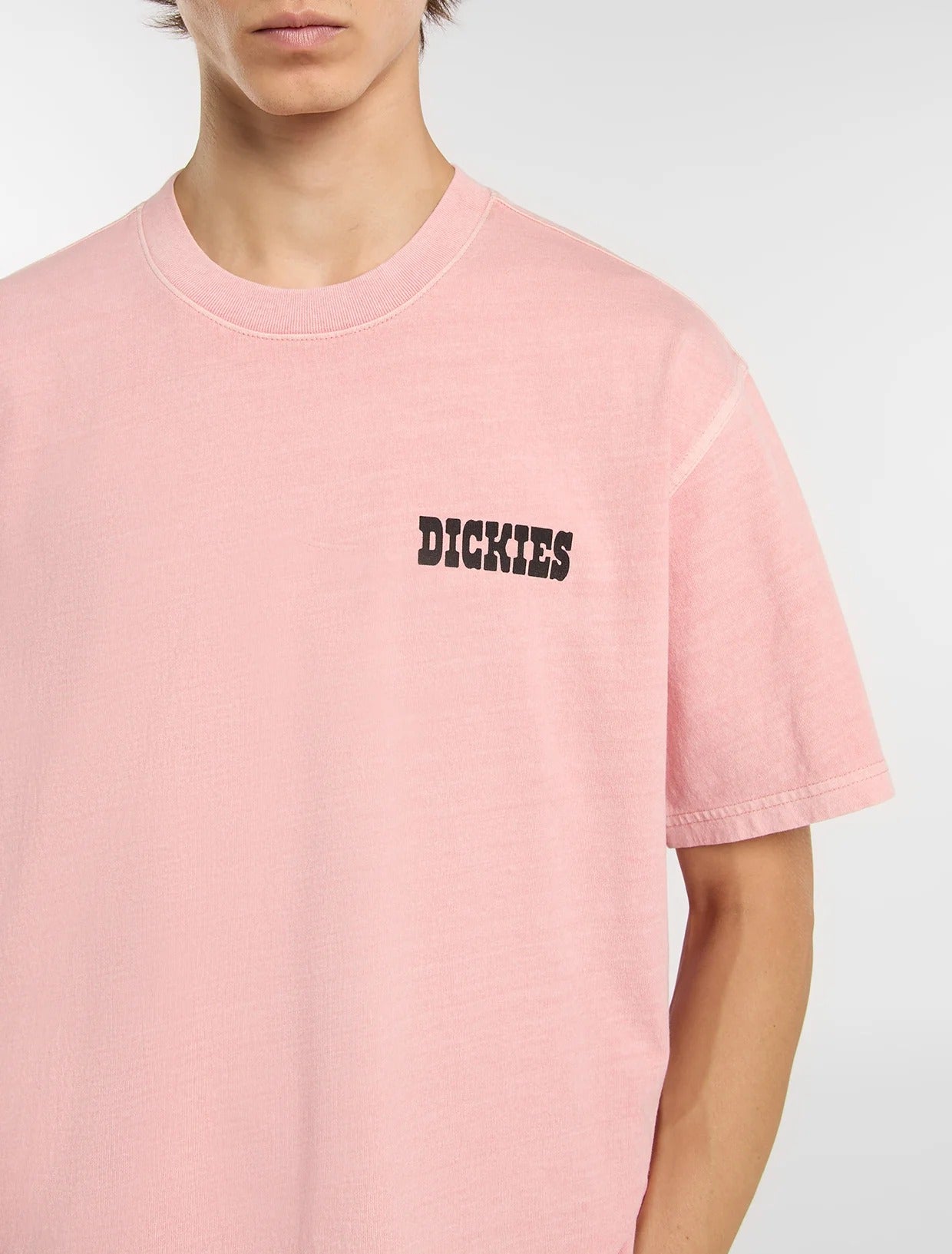 DICKIES T-Shirt Uomo BUCHTELL-Rose