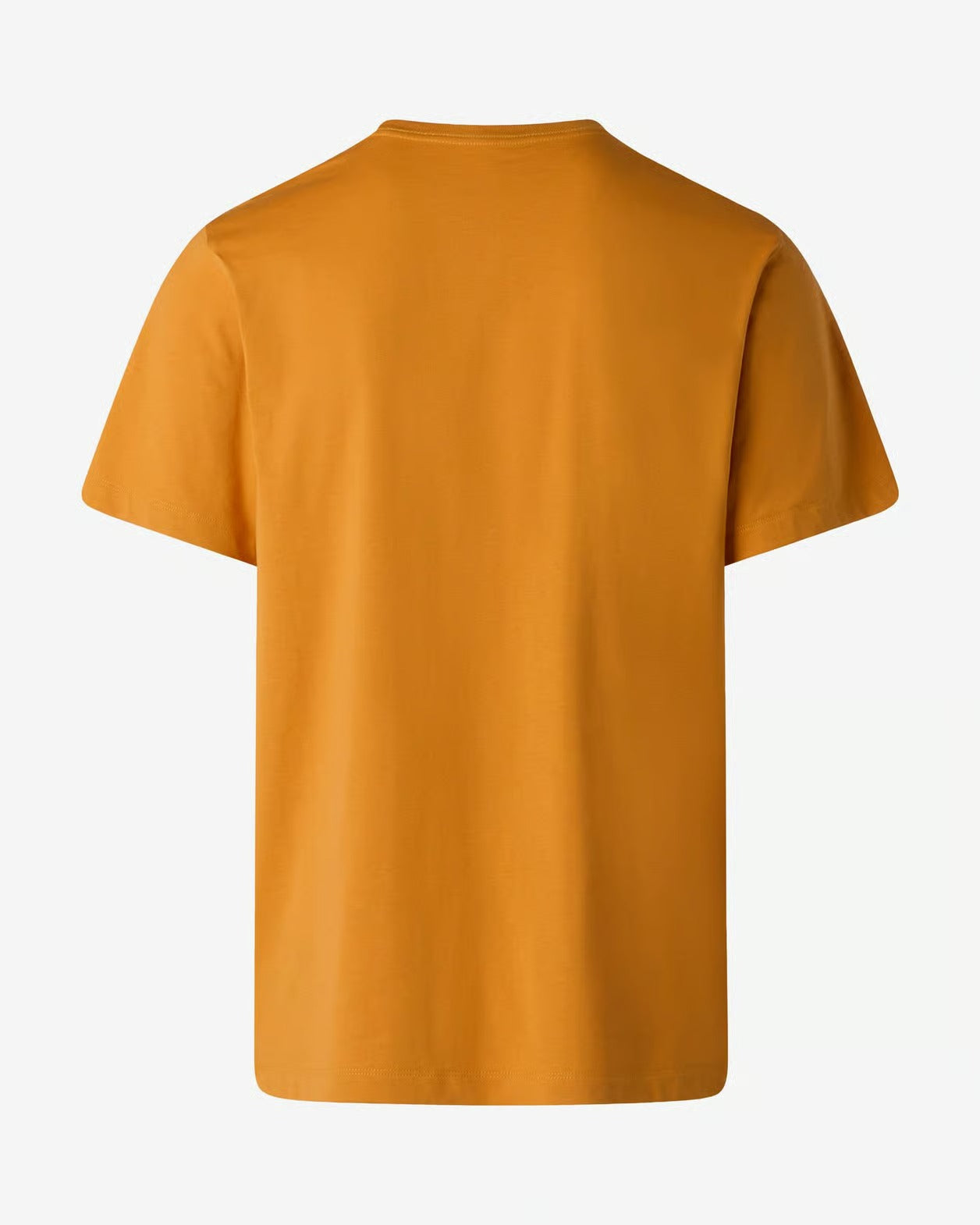 THE NORTH FACE T-Shirt Uomo EVOLUTION SIMPLE DOME REGULAR-Orange