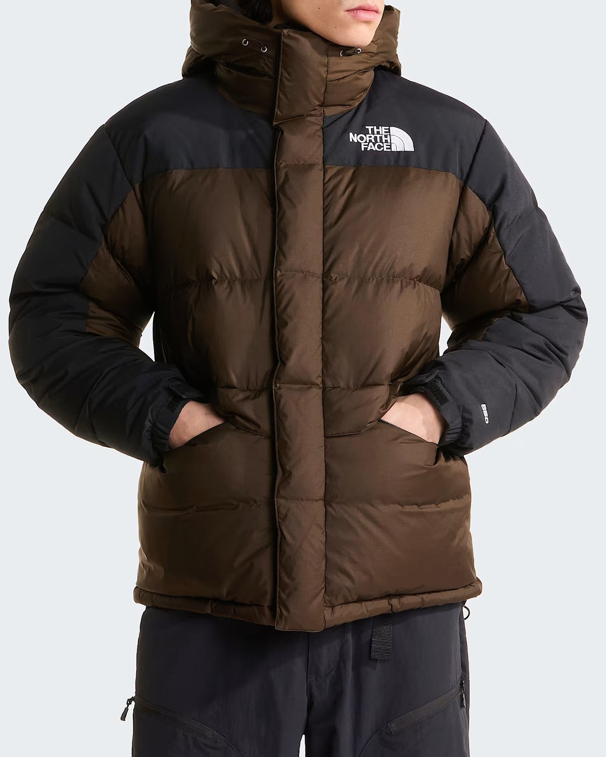 THE NORTH FACE Piumino Uomo Himalayan-Dark Chestnut/Tnf Black