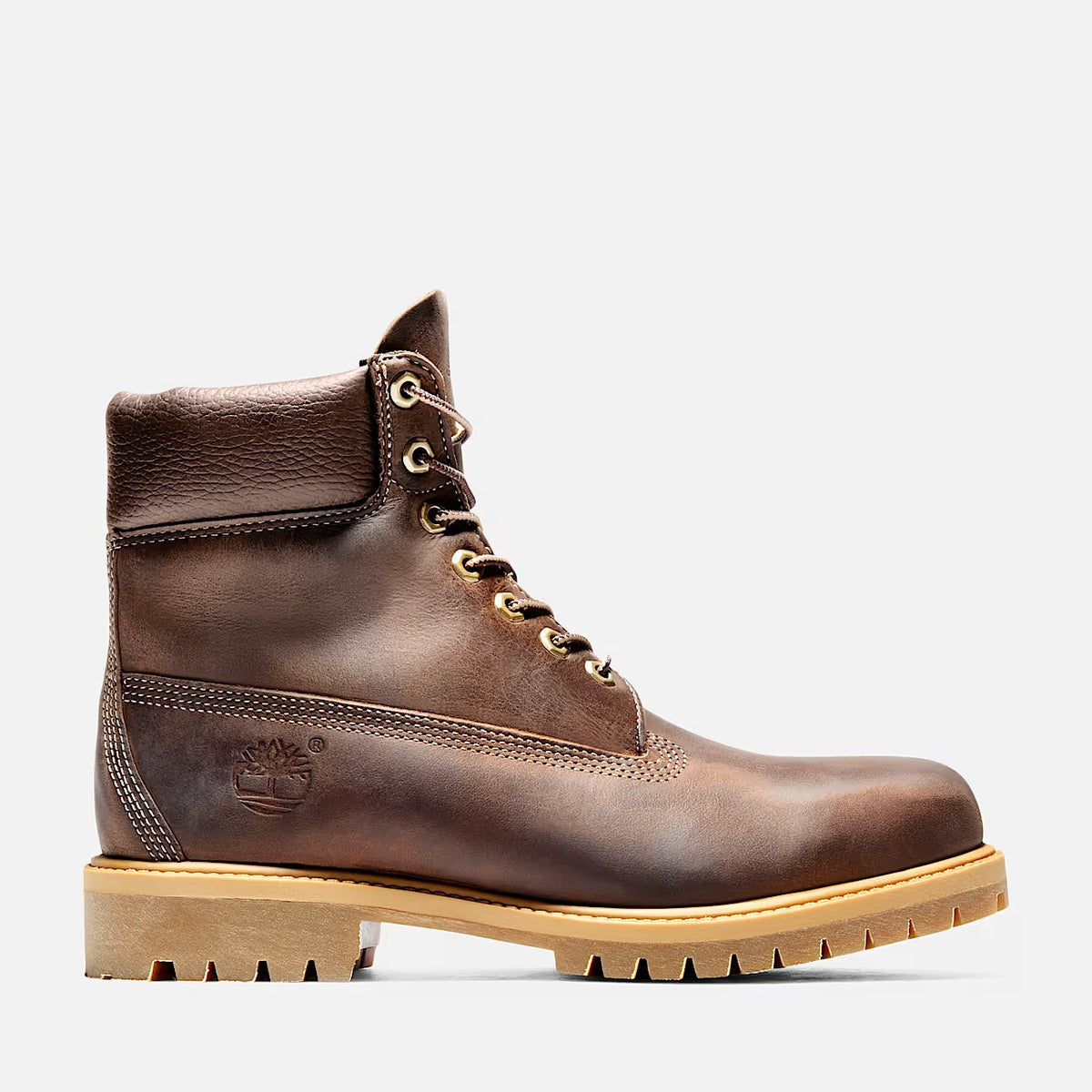 TIMBERLAND Scarponcino Uomo PREMIUM 6 INCH LACE UP WATERPROOF-Brown