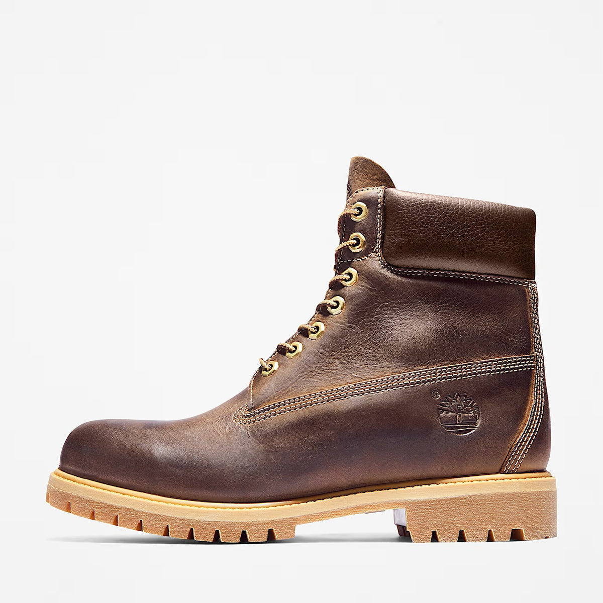 TIMBERLAND Scarponcino Uomo PREMIUM 6 INCH LACE UP WATERPROOF-Brown