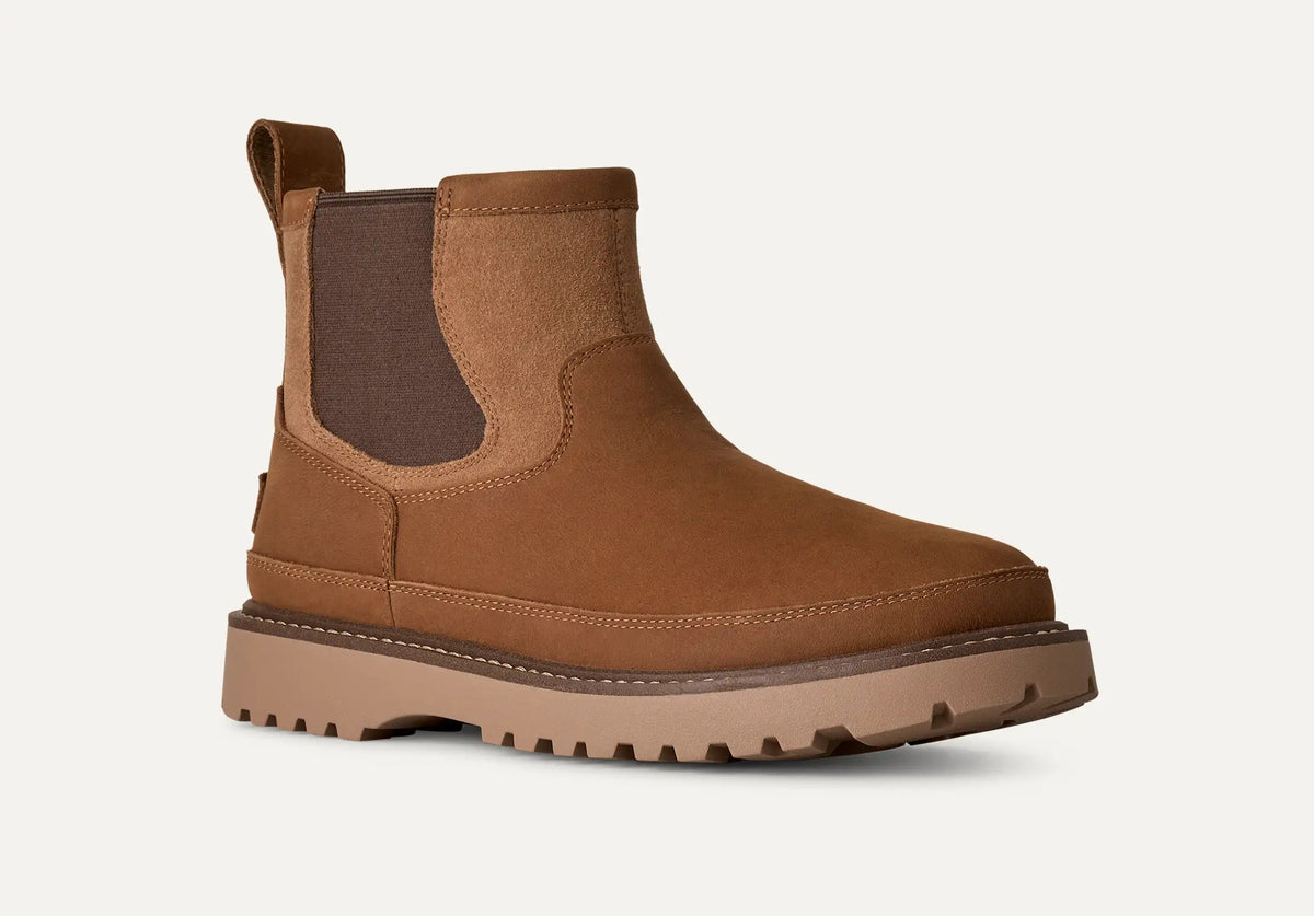 UGG Stivaletto Uomo CHELSEA BIRCH 1184610-Chestnut